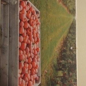 Meet your Posher, Badreddine